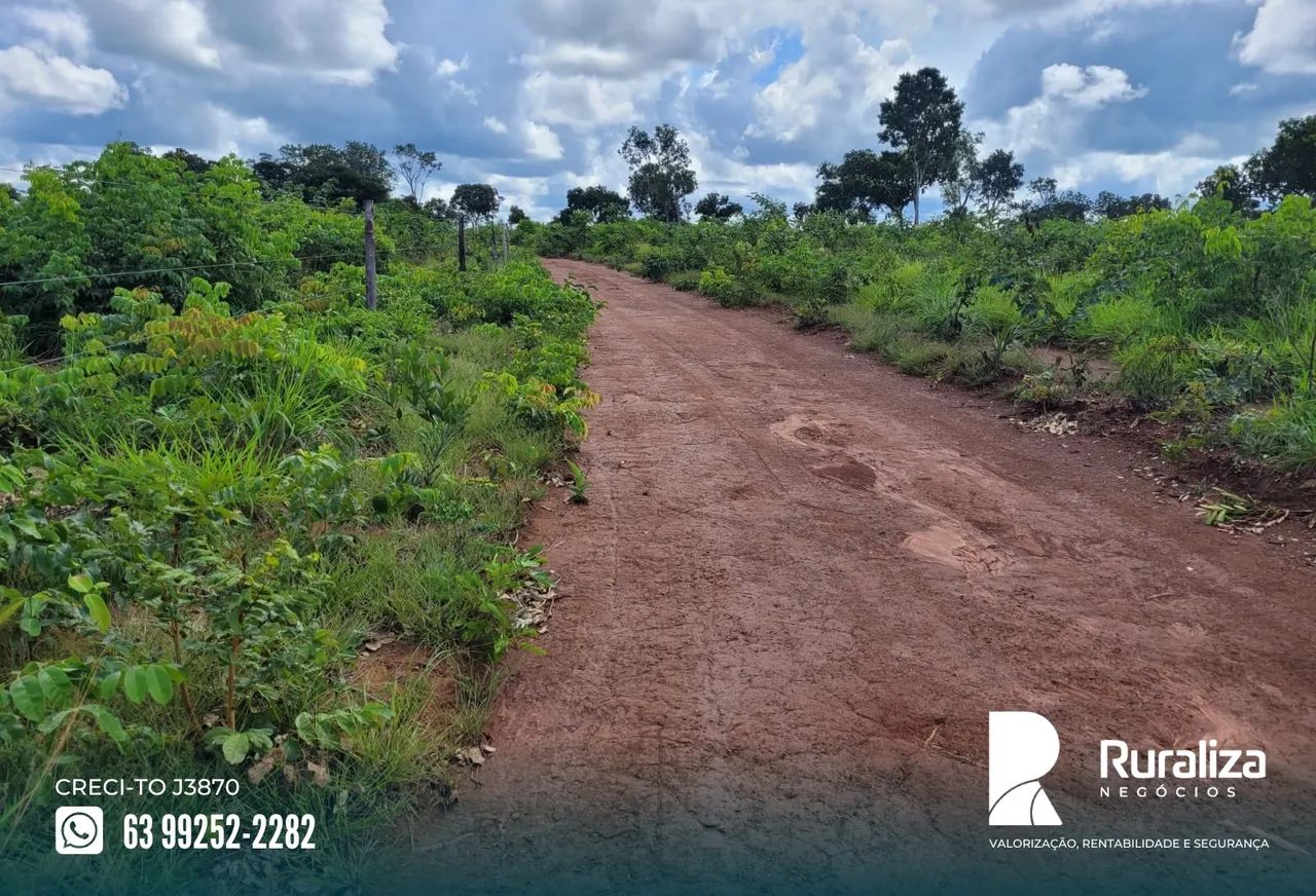 Aparecida do Rio Negro - TO com 60% de aproveitamento para lavoura, à 8 km do asfalto - Foto 5