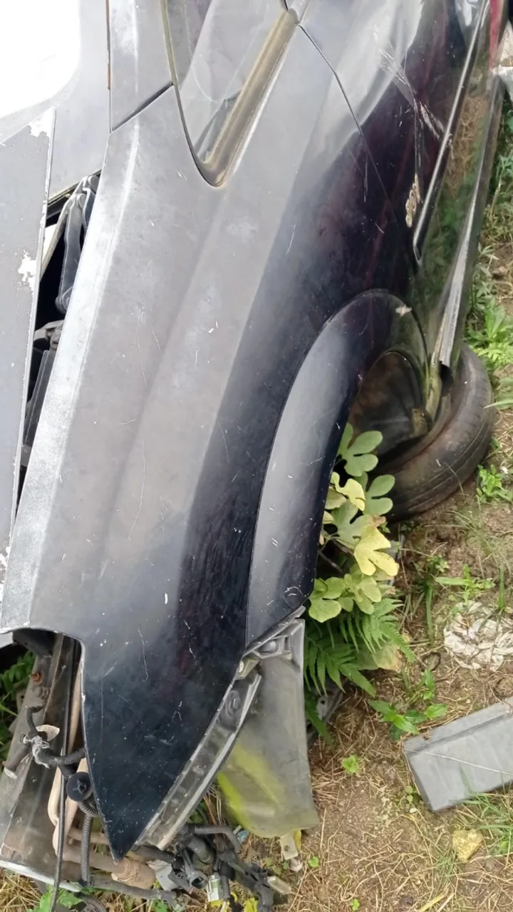 Paralama Esquerdo Meriva 2004 2005