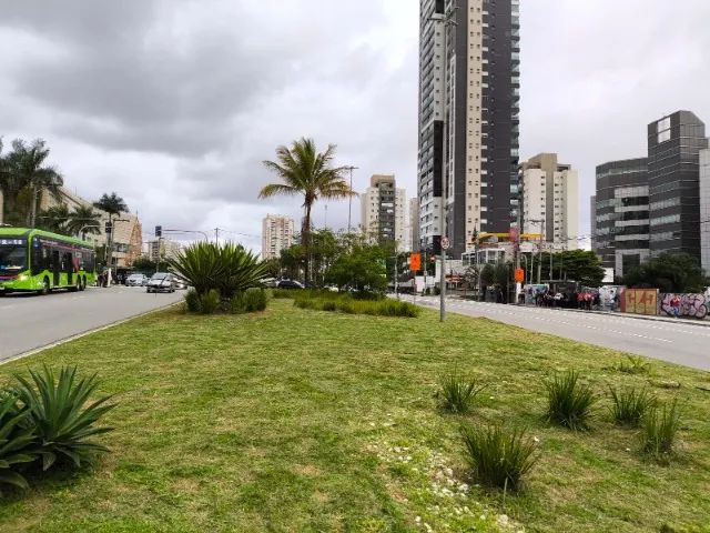 Jardinagem/jardineiro em geral - Foto 4