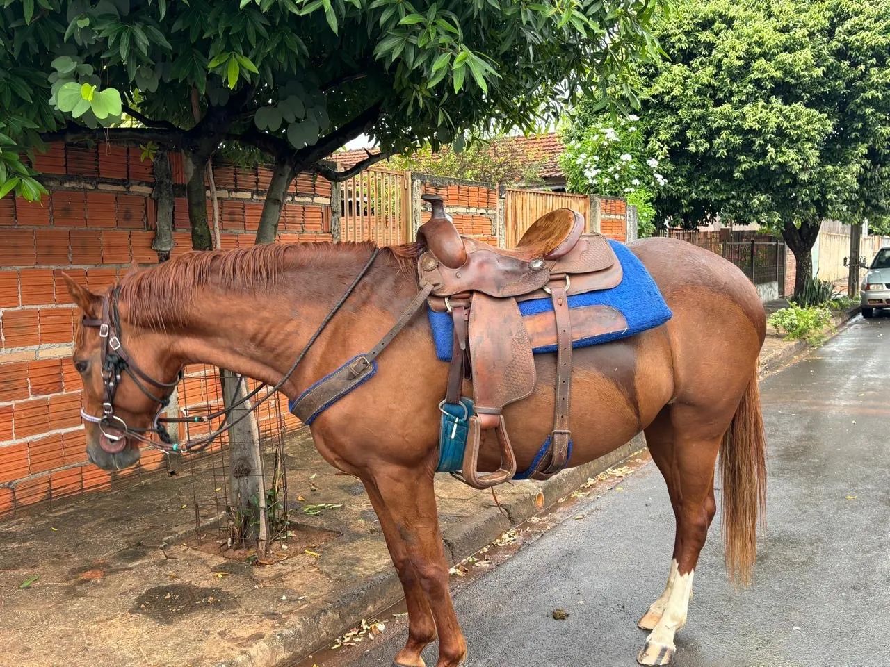 Vende-se sela completa 