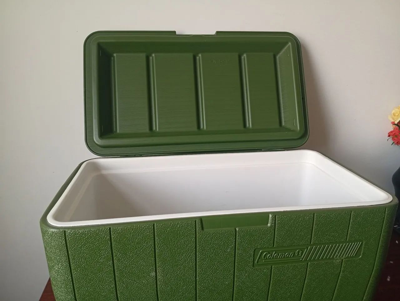 Caixa Térmica Coleman - Verde