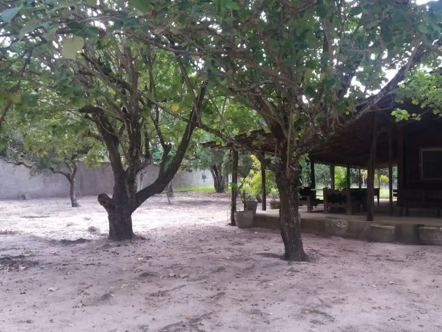 Chácara em Macaíba/RN - Venda ou Aluguel.