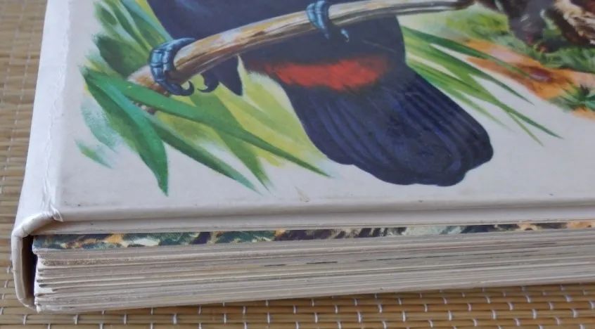 Coleção Os Bichos fascículos com capa - Foto 5