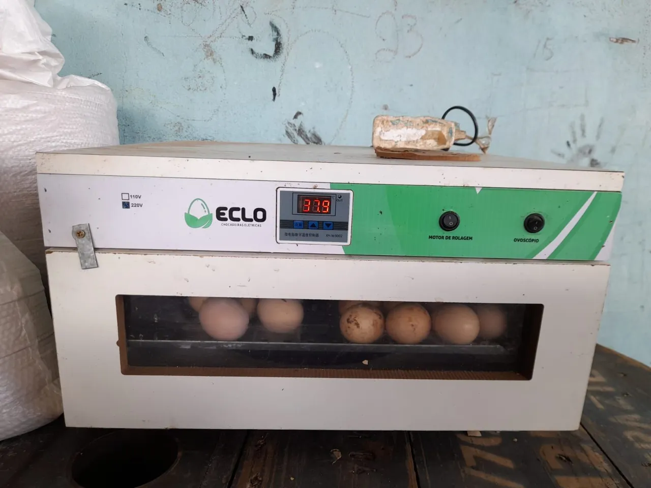 Chocadeira Elétrica Eclo 50 Ovos
