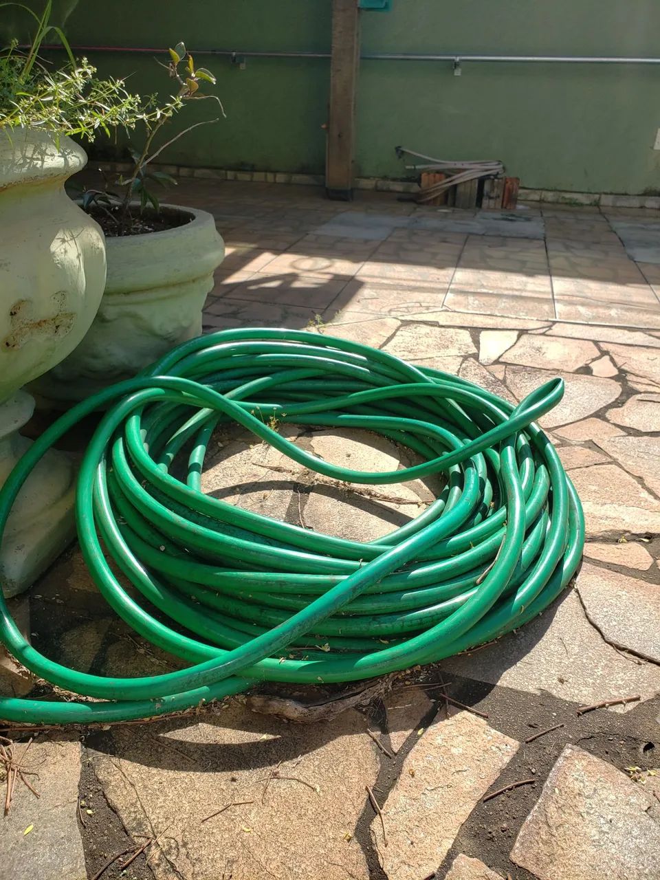 Mangueira de jardim verde 50 metros