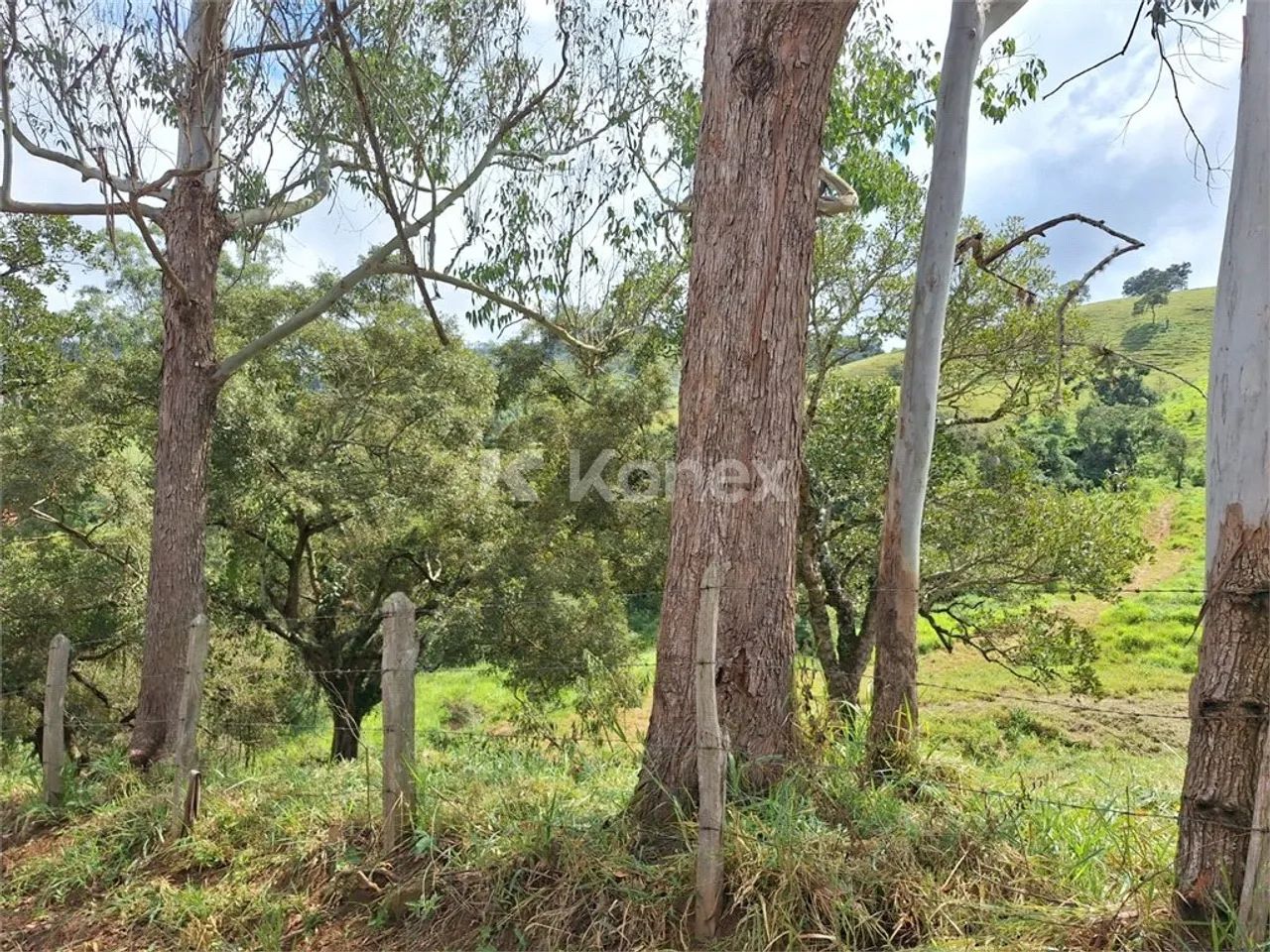 Hotel/Pousada à venda com 30000 m² em Centro, Camanducaia - Foto 3