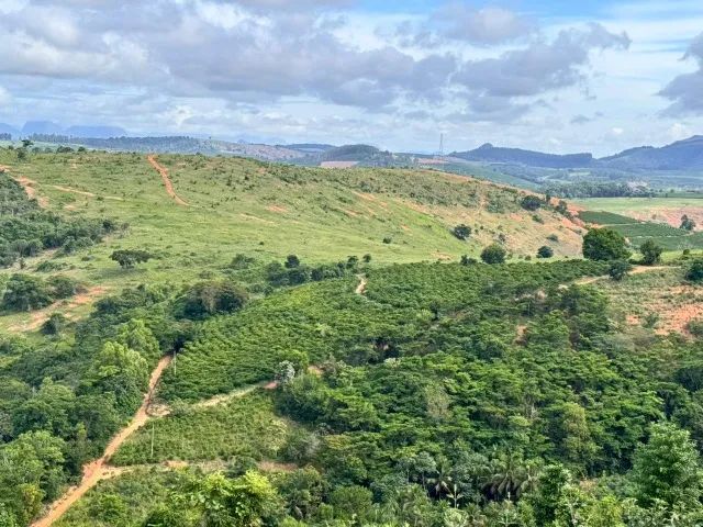 Sitio rural com 350.000 m2 - Foto 4