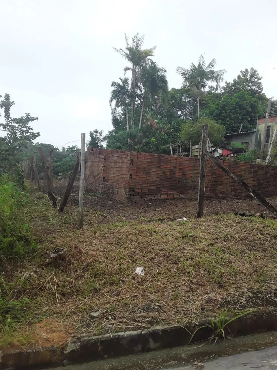 Venda  - Foto 3