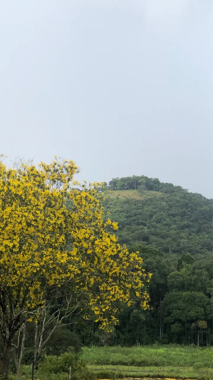 Sitio  e chácaras a venda