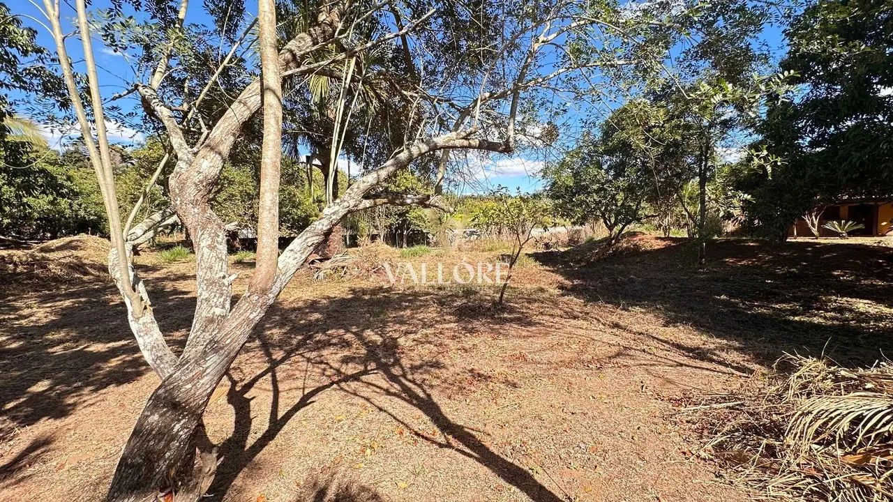 Ribeirão da Cachoeira - Chácara 7.158,89 m² com acesso ao Ribeirão - Condomínio  Nova Vene - Foto 11