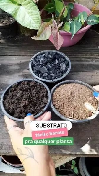 Estrume  - Foto 3