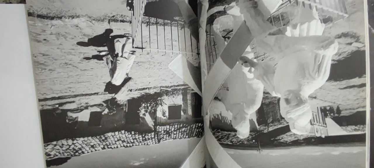 livro terra sebastião salgado - Foto 5
