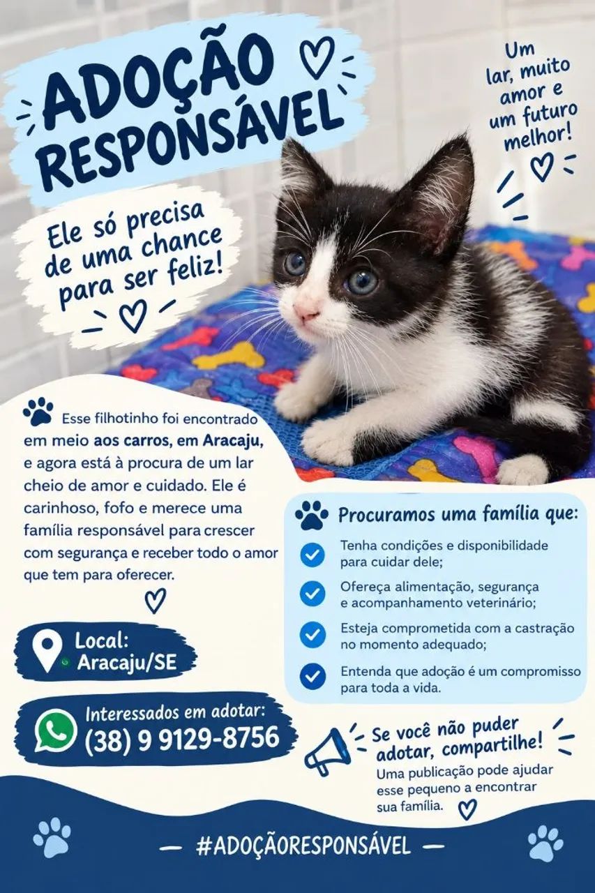 Adoção responsável 