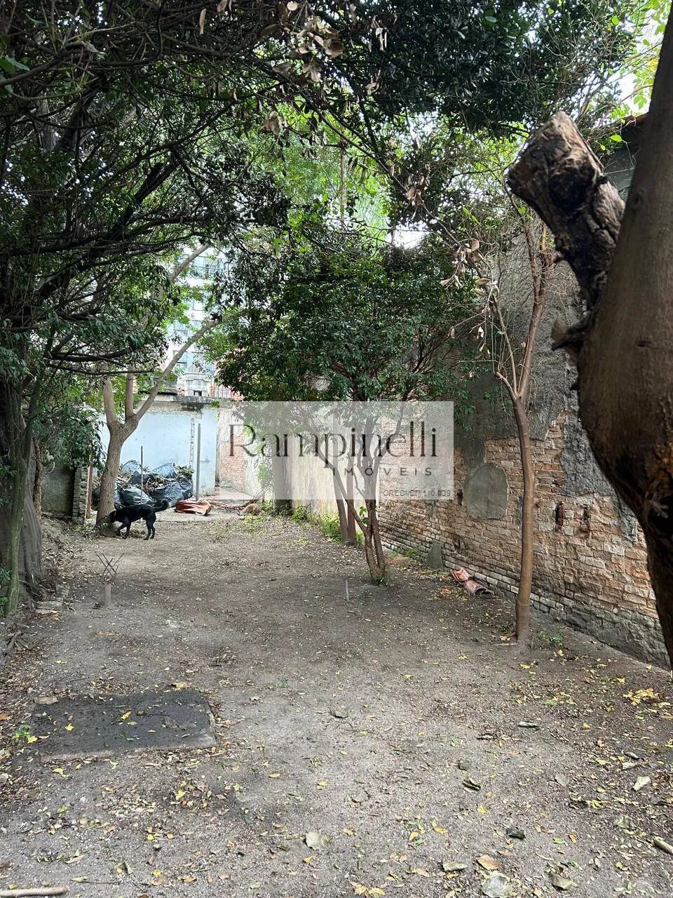 CASA ANTIGA VALE TERRENO EM PERDIZES - Foto 5