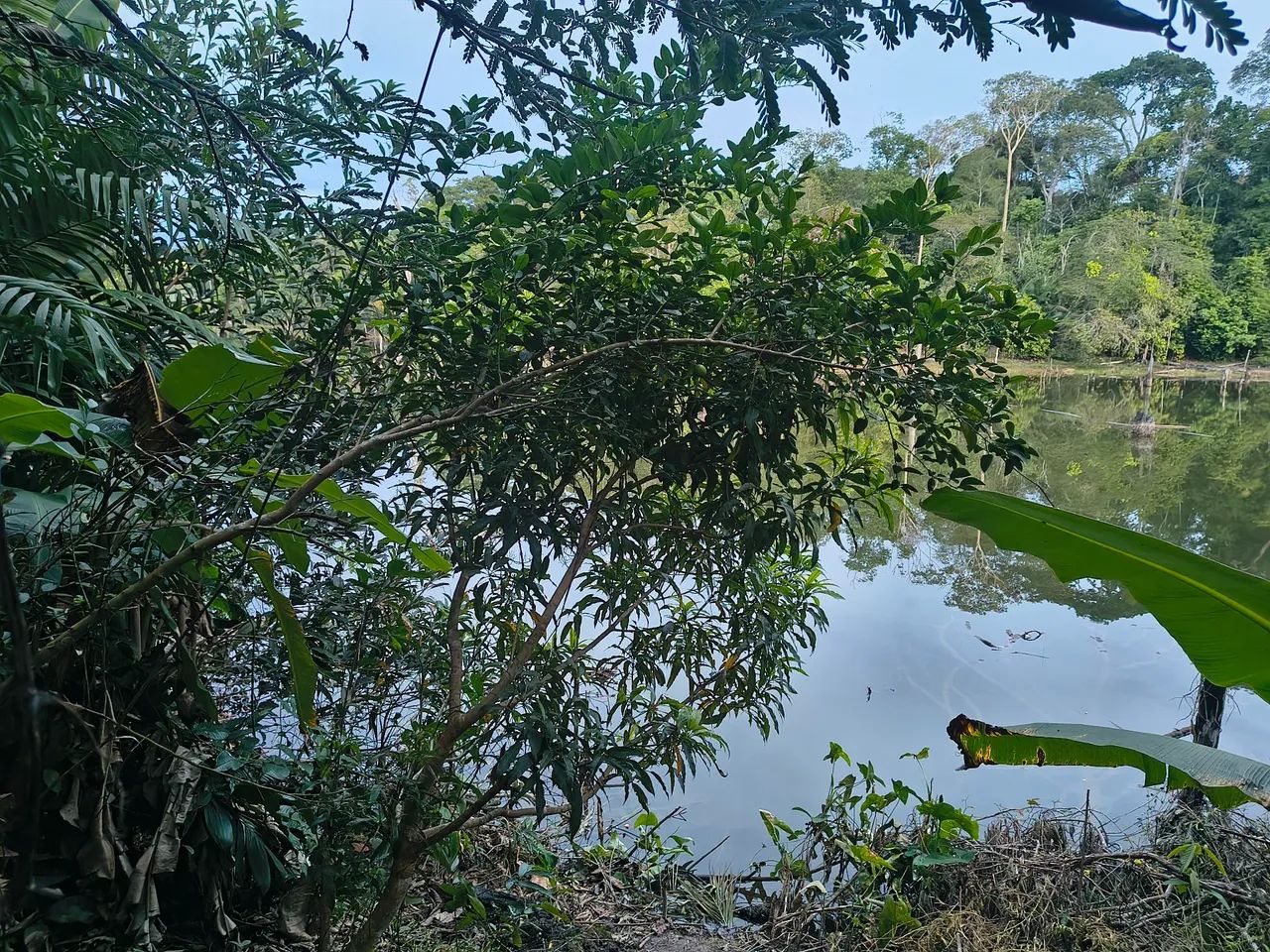 Chácara com lago natural 