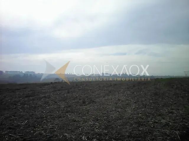 área - Chácara Cruzeiro do Sul - Sumaré - Foto 2