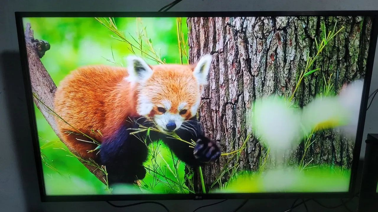 Tv lg 43 4k smart  - Foto 2