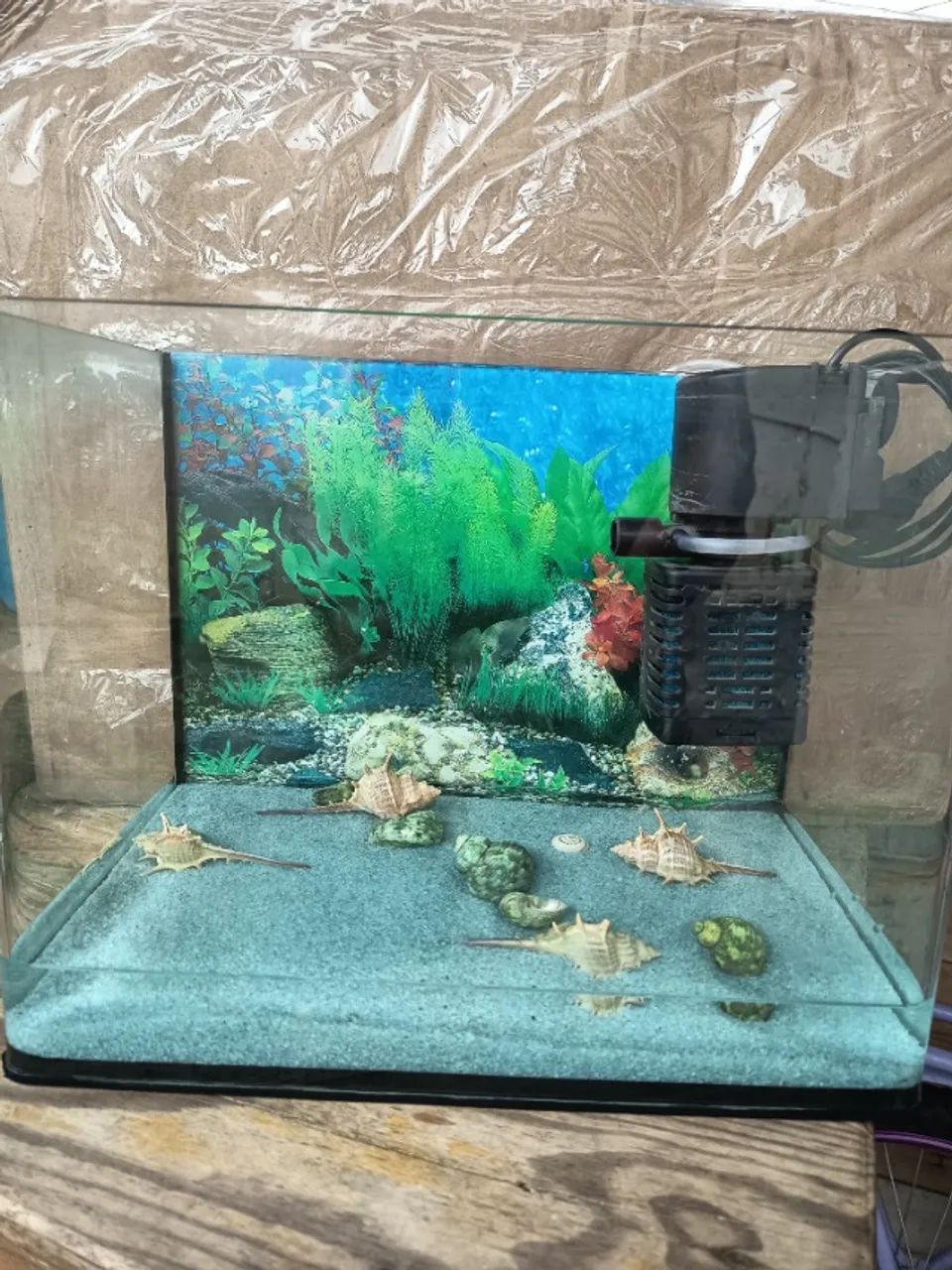 Aquário At 25cm, La 20cm, comp 30cm  - Foto 2