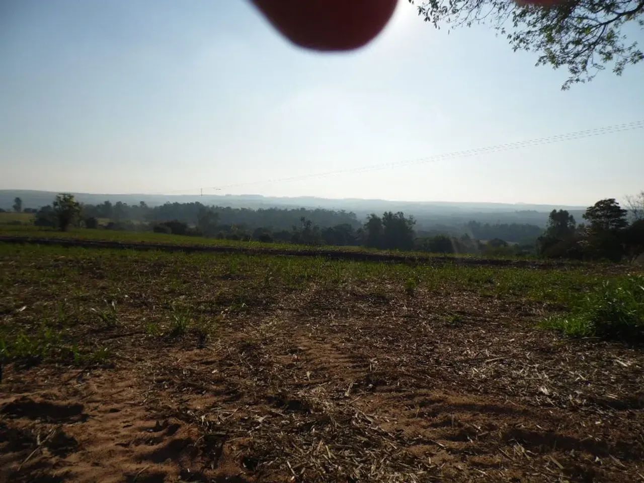 SITIO EM CONCHAS SP. - PROX. DA DIVISA COM ANHEMBI SP - Foto 3