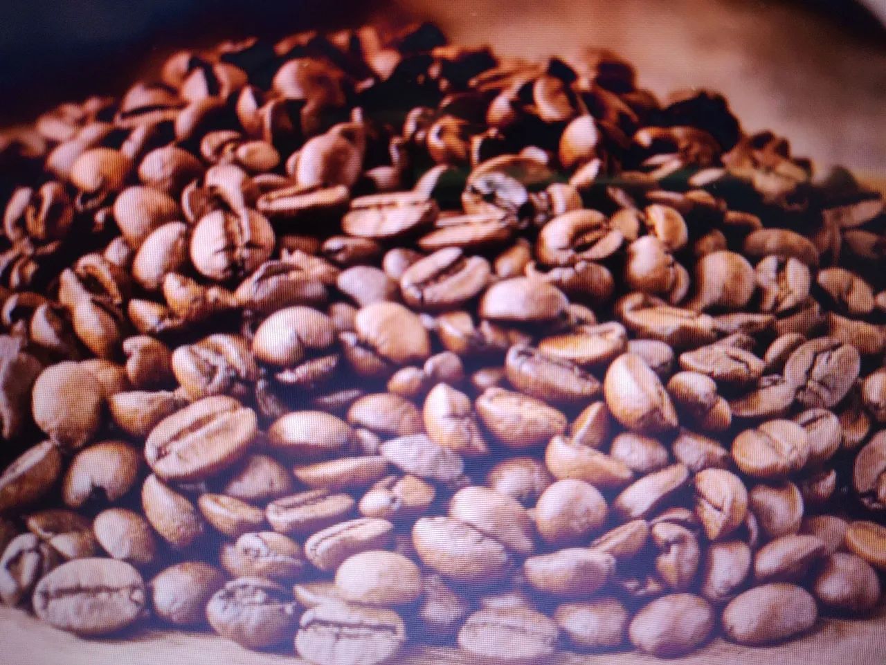 Café gourmet em grão ou moído sul e MG - Foto 3