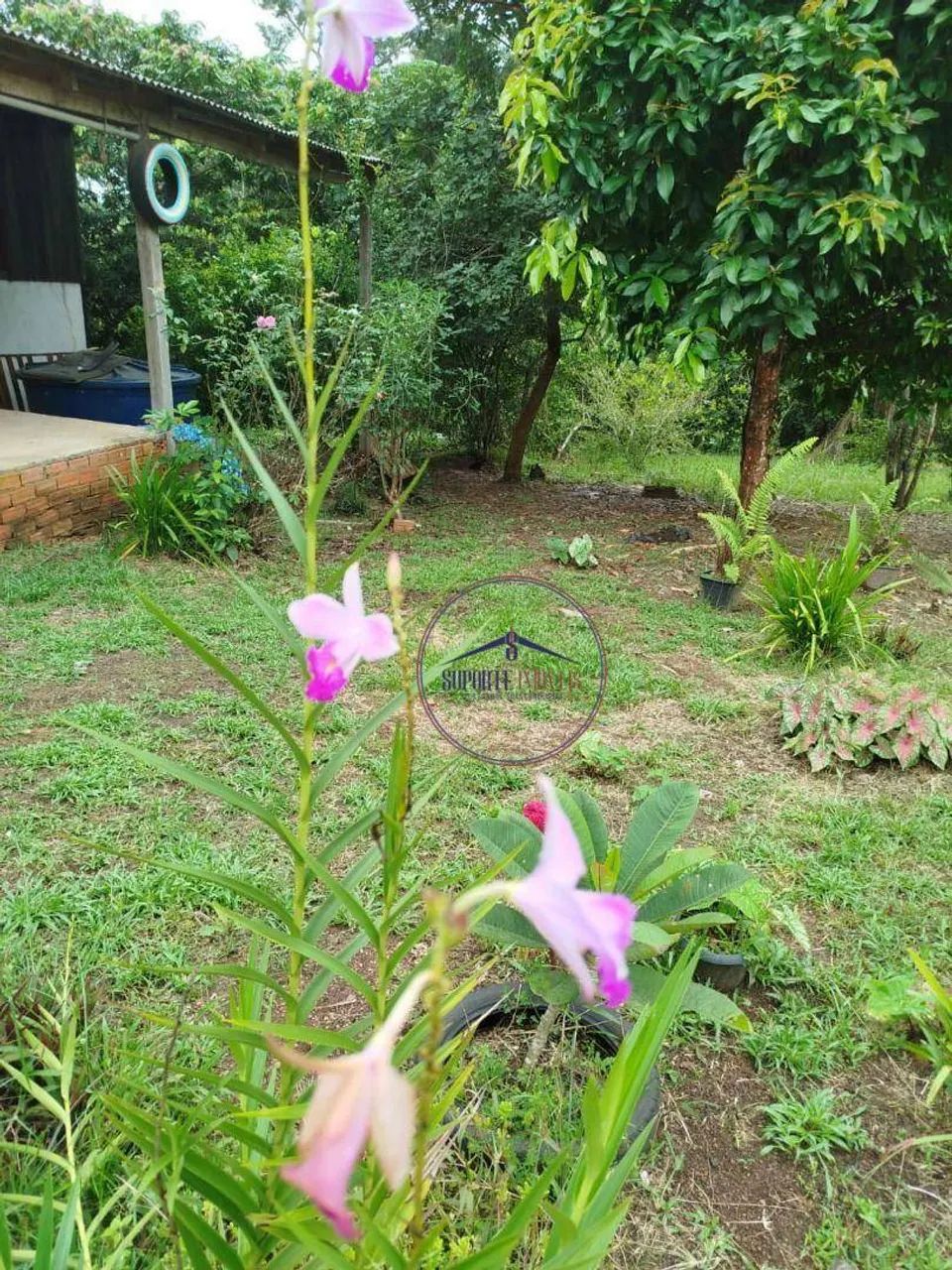 VENDO - CHÁCARA SENTIDO HUMAITÁ - Foto 5