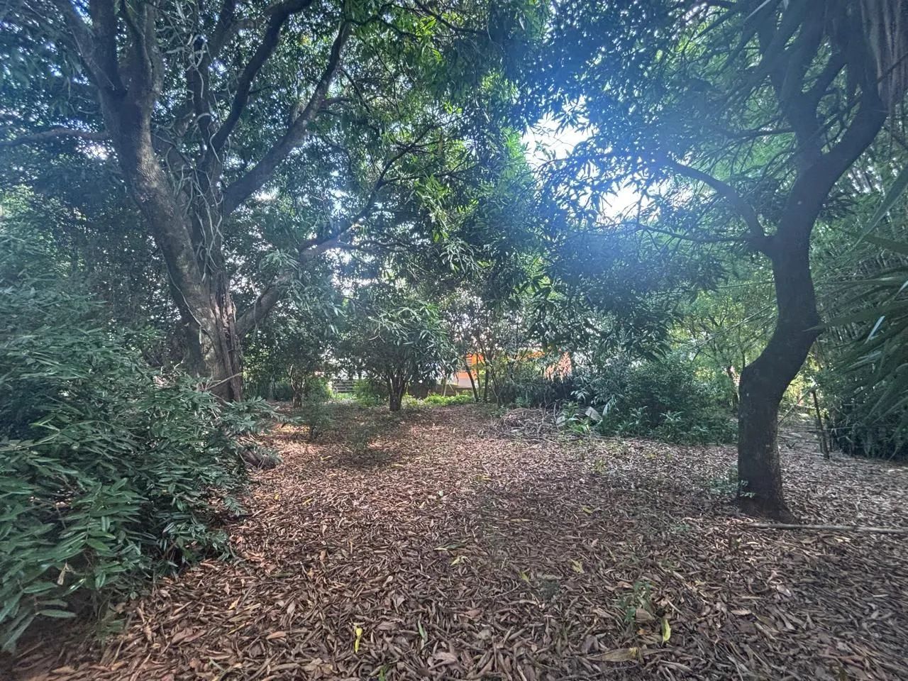 Área à Venda | Avenida Ipanema | Sorocaba - Sorocaba/SP - Foto 4