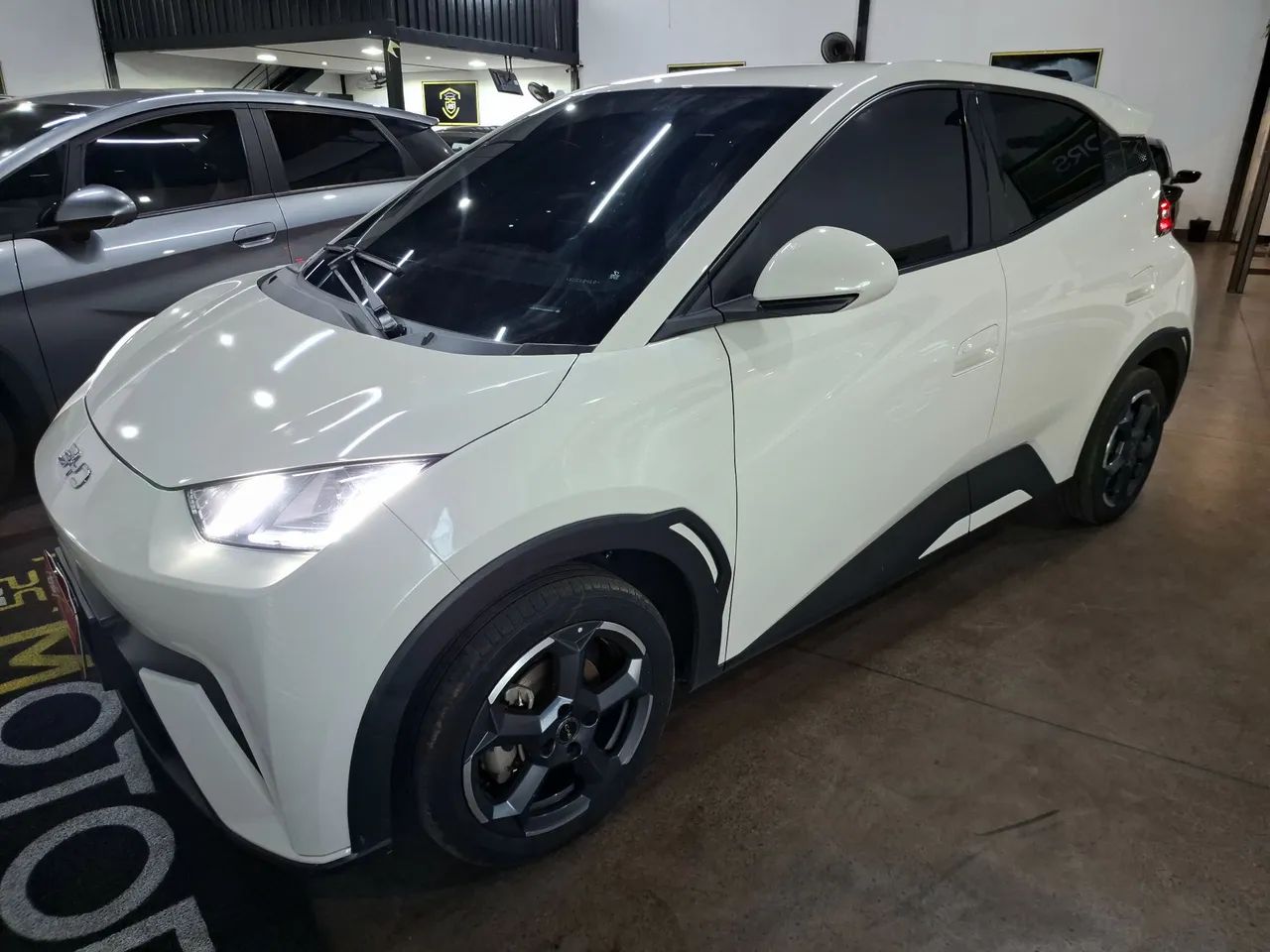 BYD Dolphin Mini GL 2025 - Foto 3