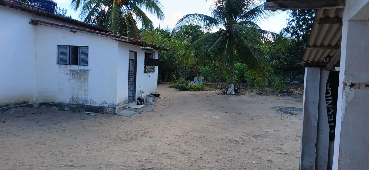 Chácara ou granja sítio  - Foto 4