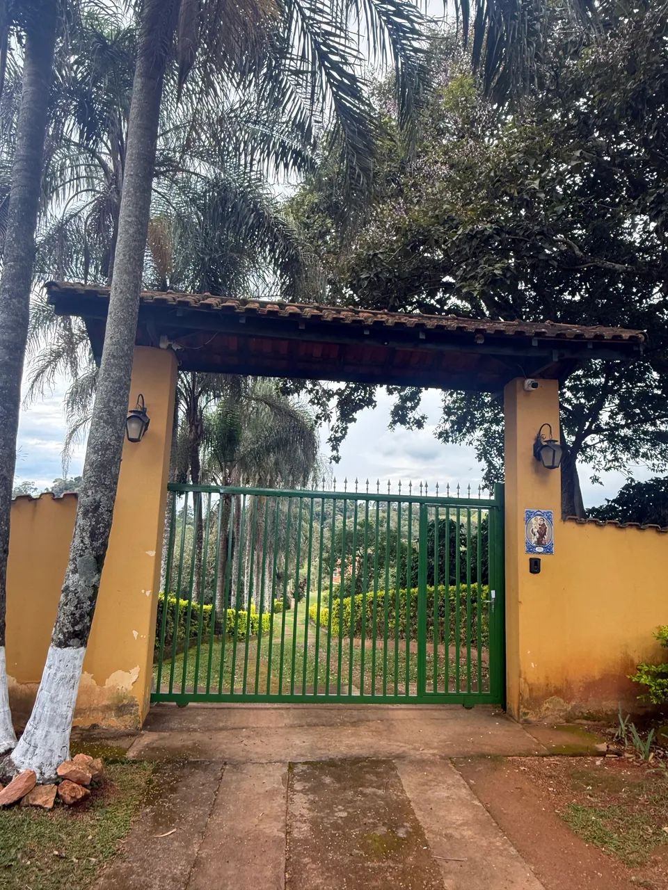 Joia rara  - Foto 2