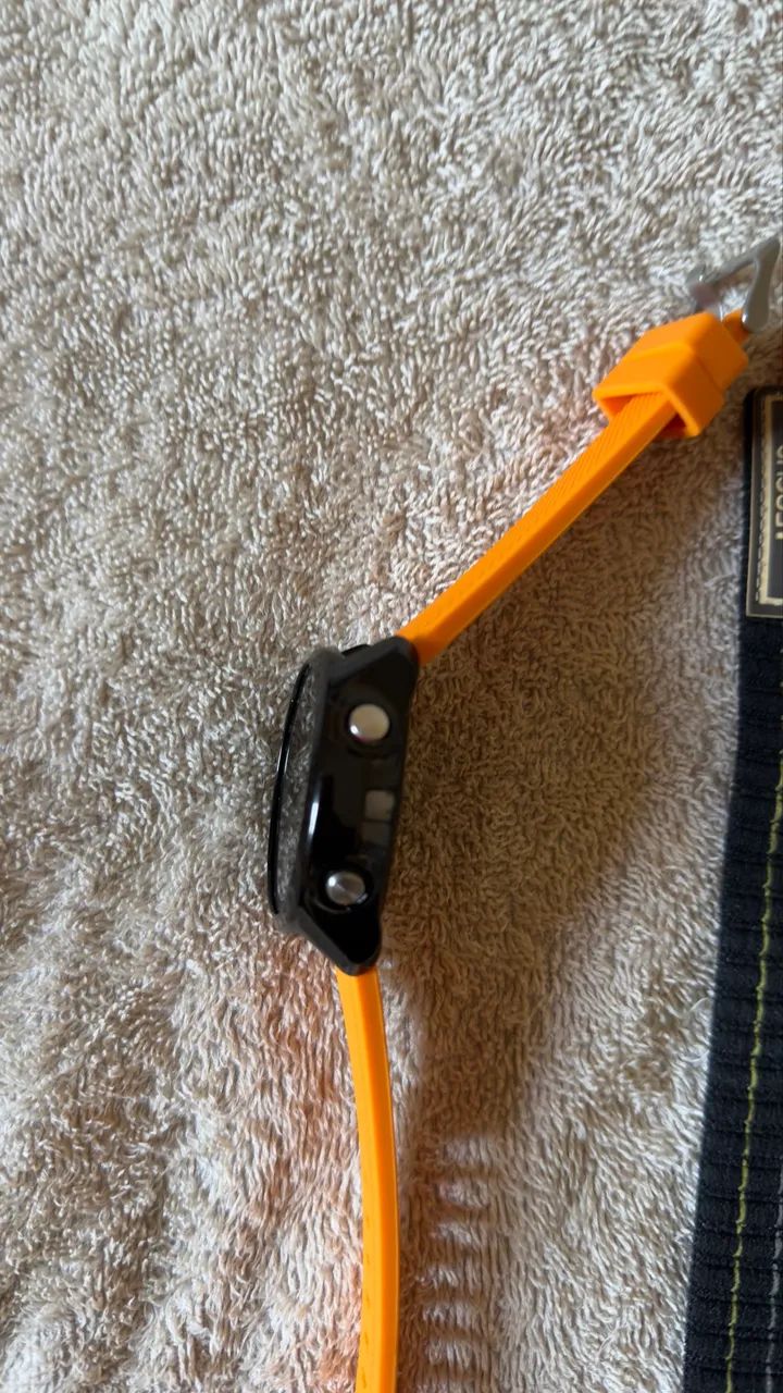 Garmin Forerunner 245 Music  - Foto 2