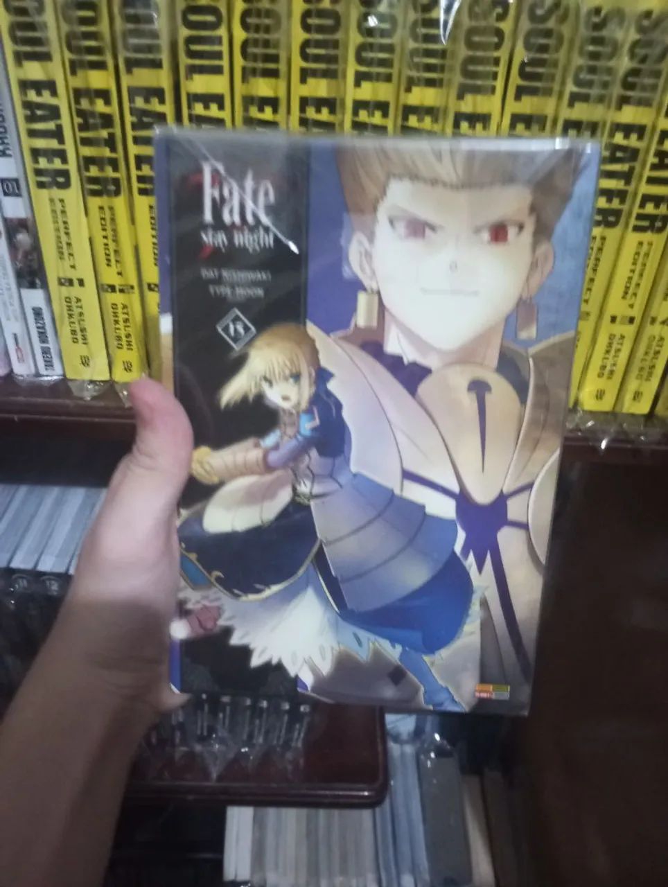 Coleção FATE Stay Night COMPLETA mangá - Hobbies e coleções