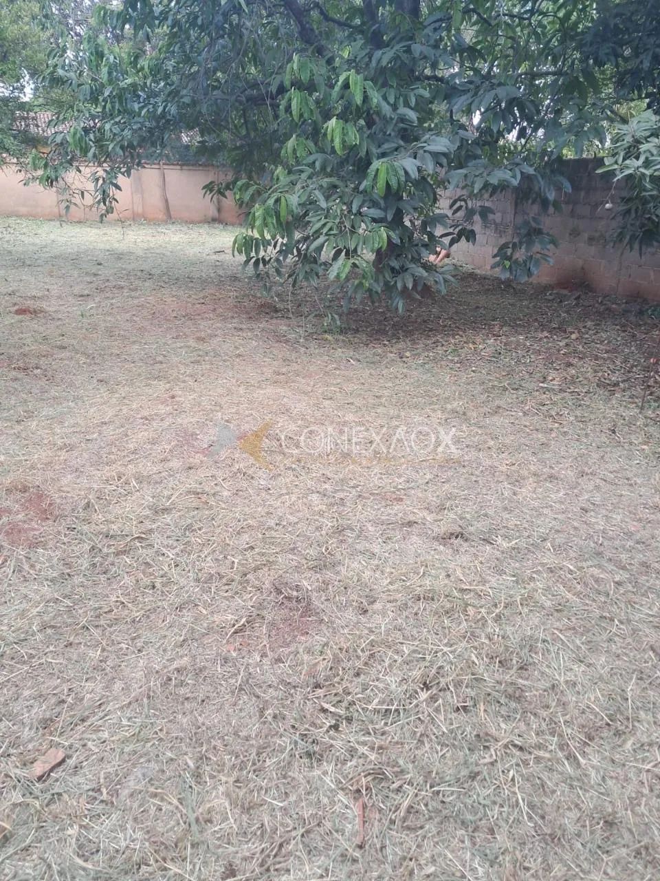 terreno - Cidade Universitária - Campinas - Foto 4