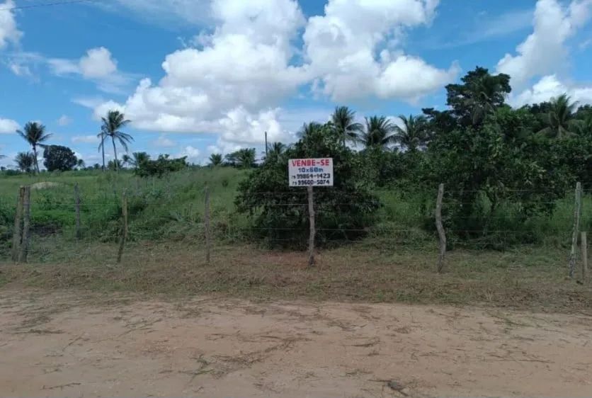 Vendo lote medindo 10x60 - Foto 2