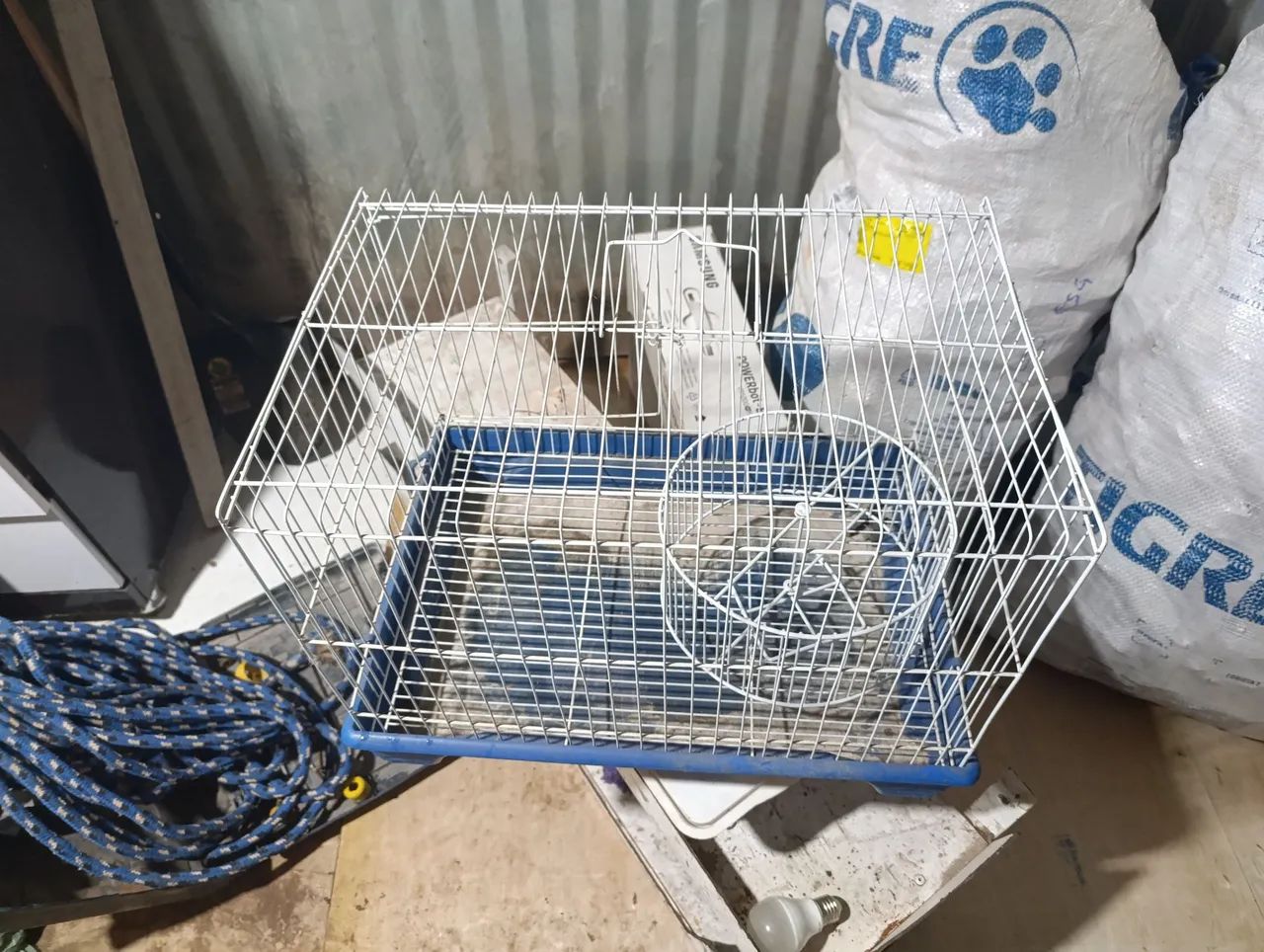Gaiola para Porquinho-da-Índia em Bom Estado.
