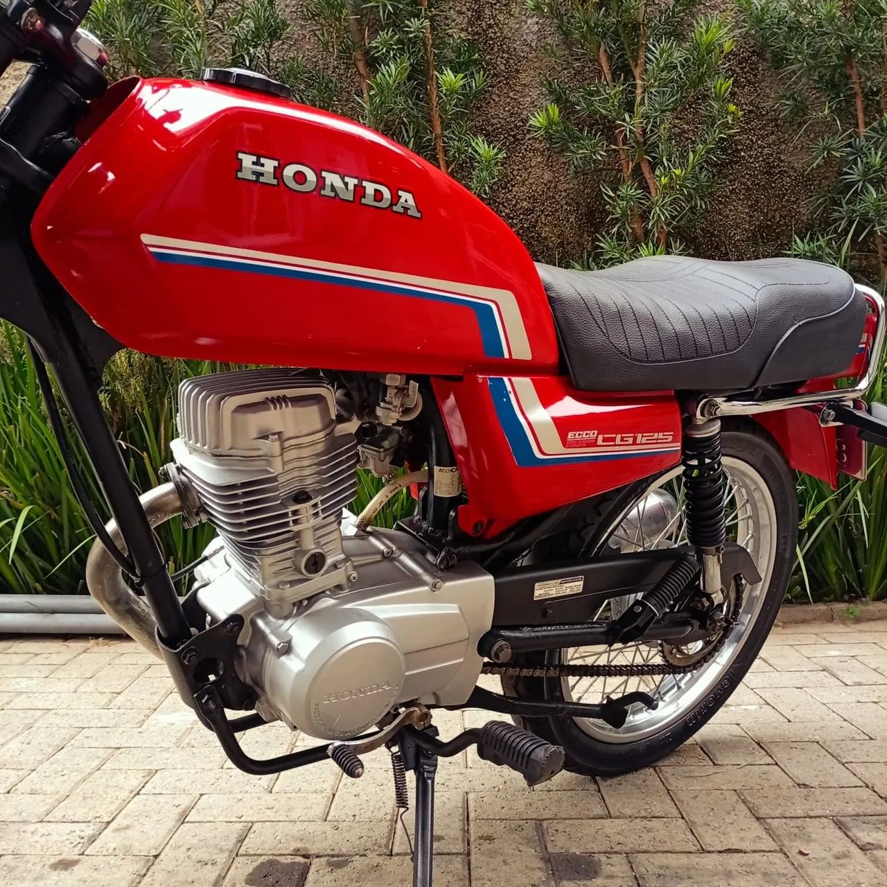 Cg 1982