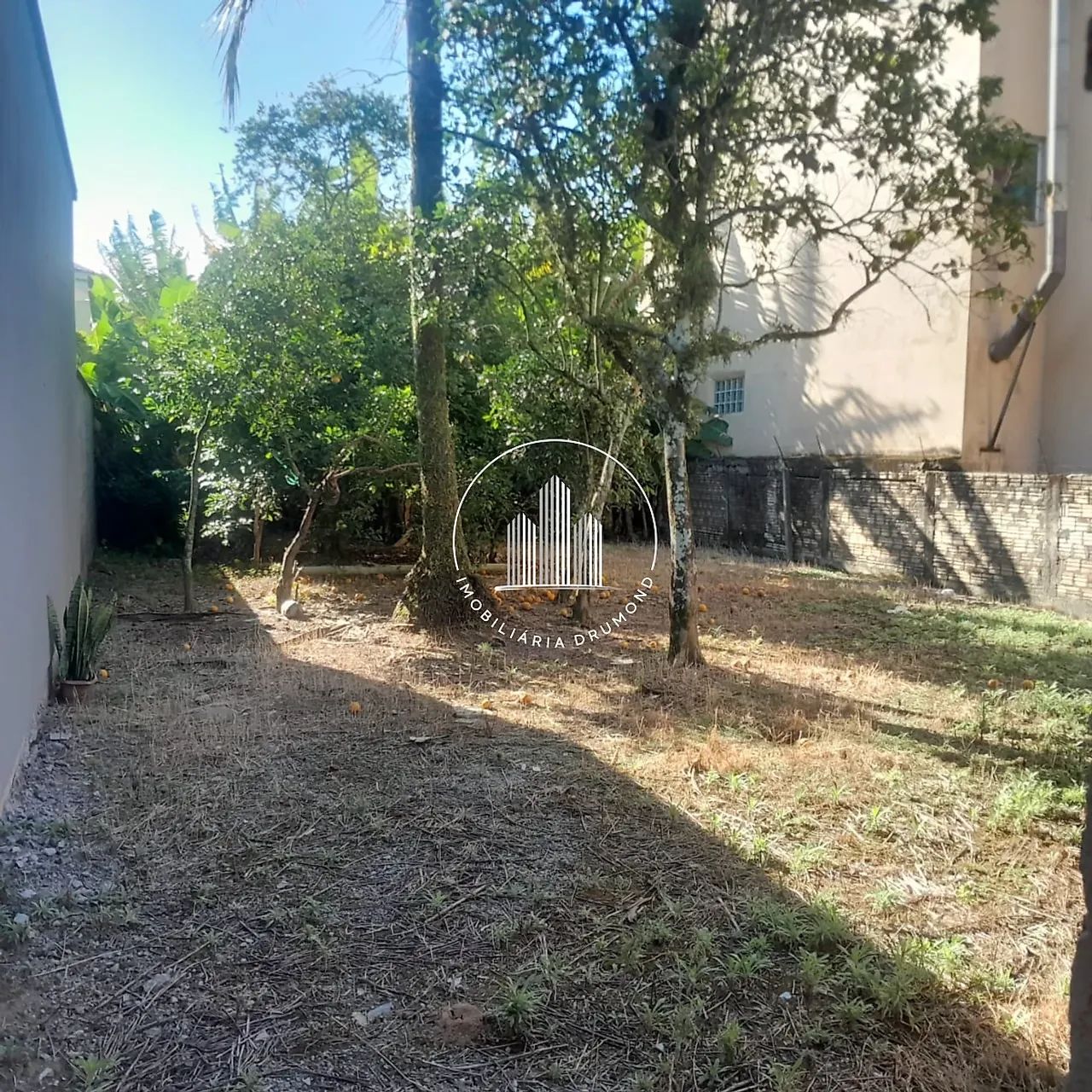 Terreno em área comercial na Palhoça - PLC - Foto 4