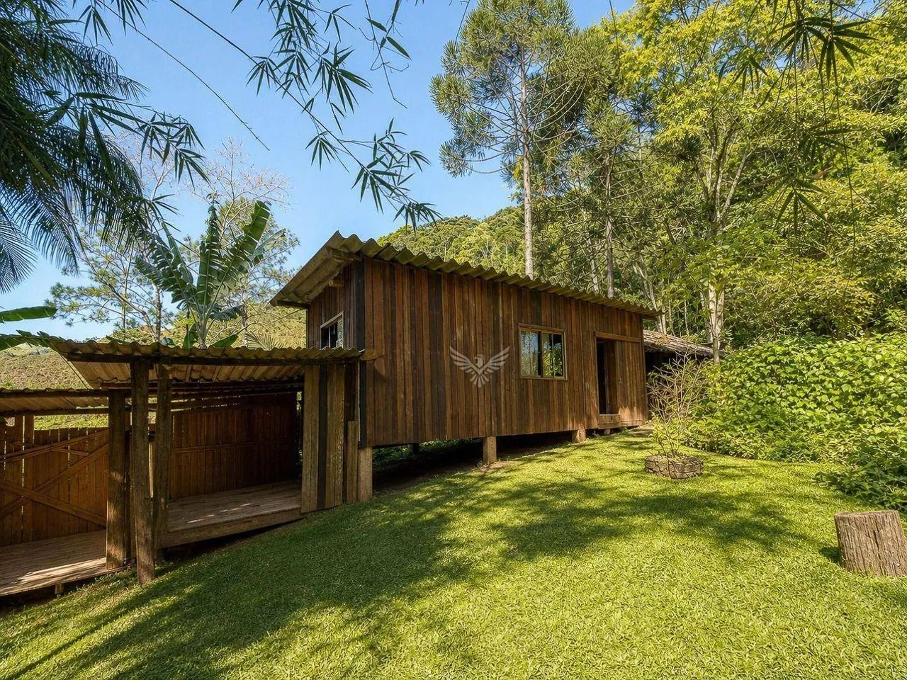 Sitio com casa boa, lagoa em muita natureza - Foto 4