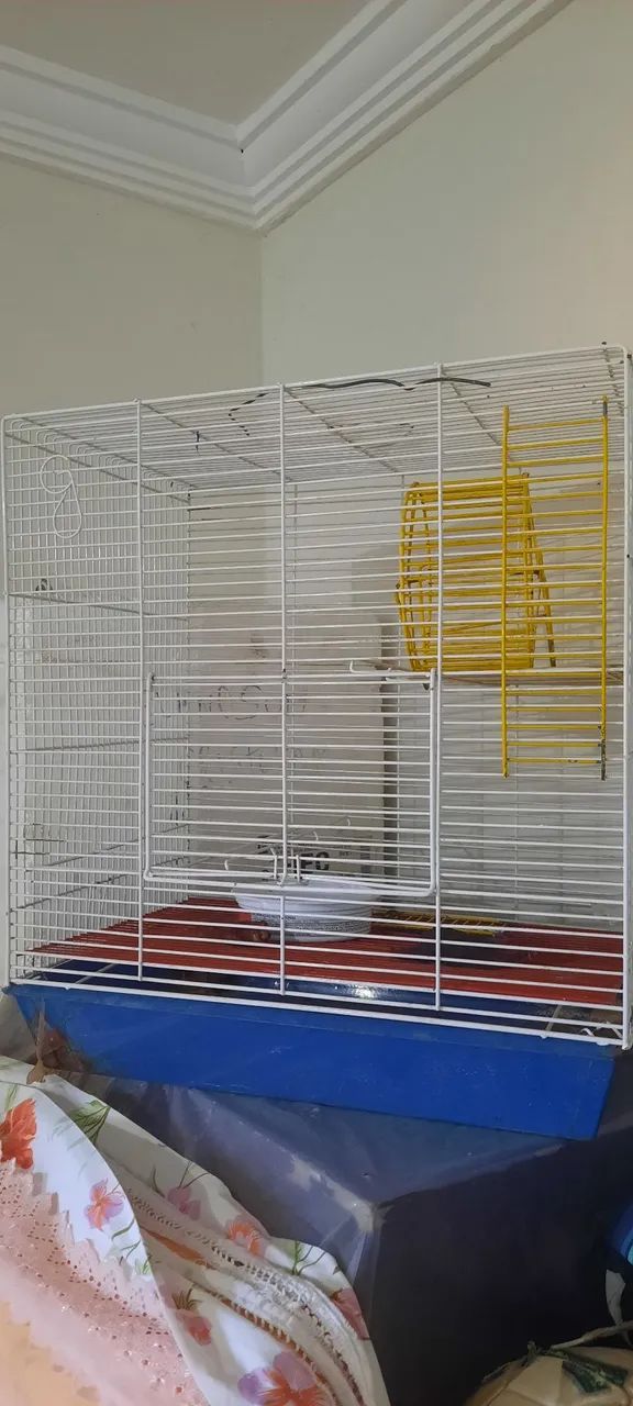 Gaiola - Foto 4