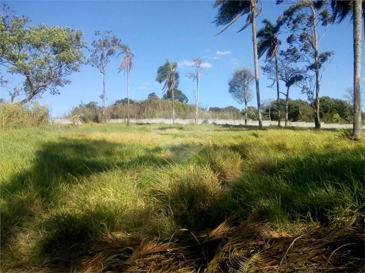 Terreno à venda em Parque olimpico - SP - Foto 2