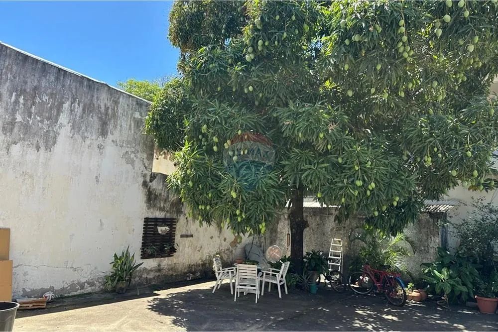TERRENO NA BEIRA MAR - FAROLANDIA - REMAX - Foto 3