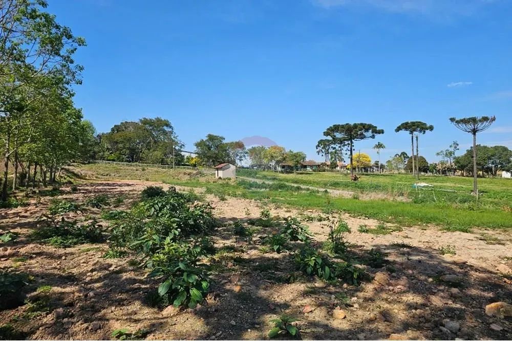 Terreno Rural - Foto 2