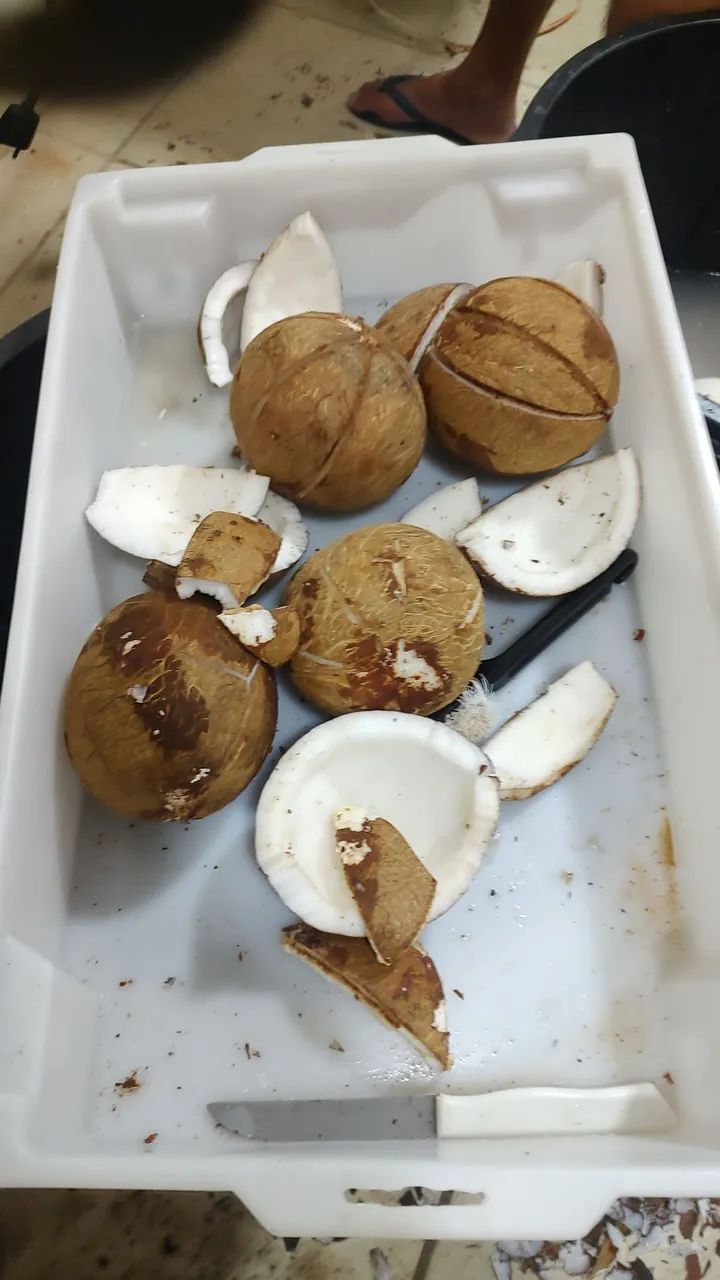 Ajudante de cozinha/produção  - Foto 2