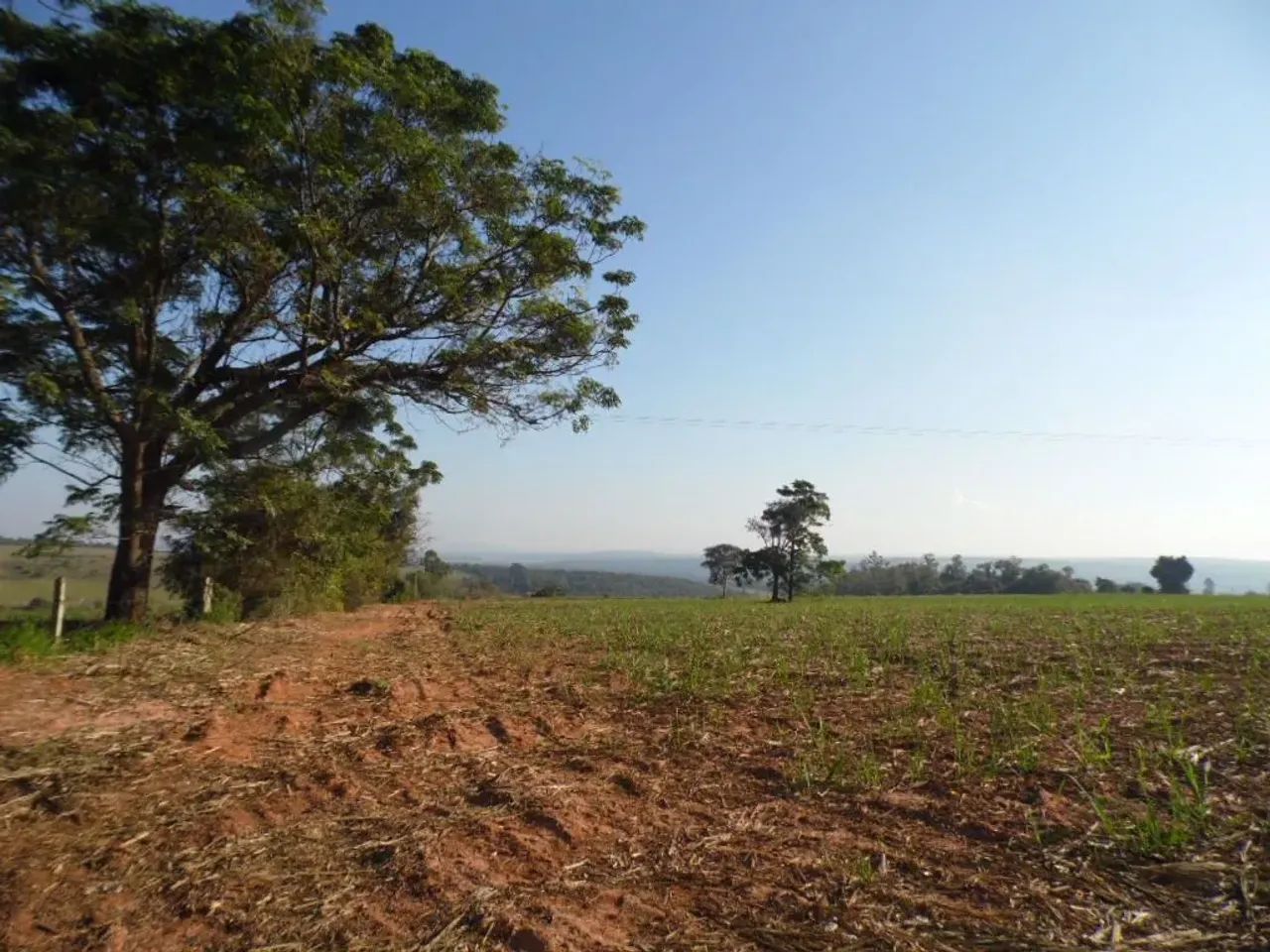 SITIO EM CONCHAS SP. - PROX. DA DIVISA COM ANHEMBI SP - Foto 2