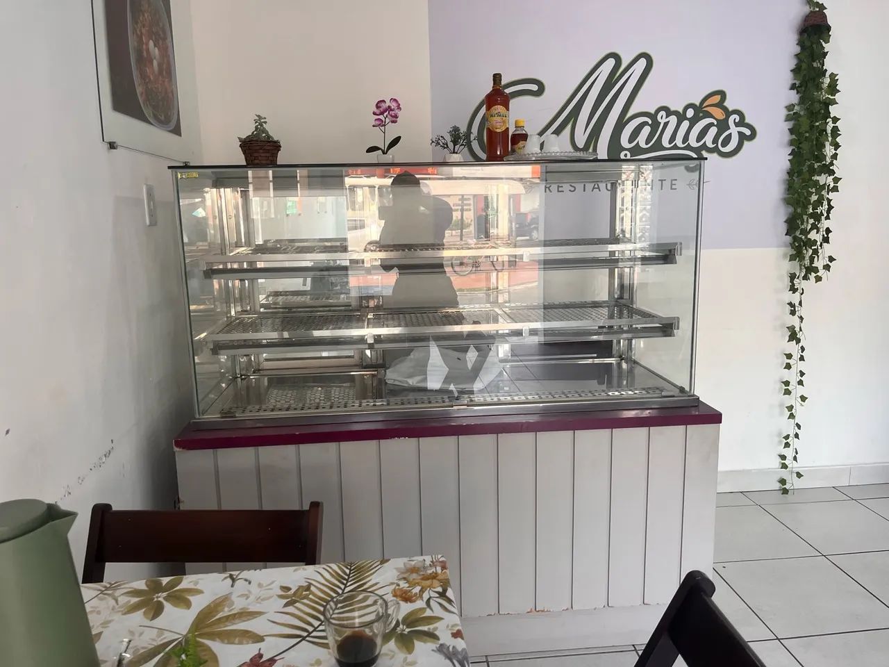 Estufa refrigerada 220w - Foto 2