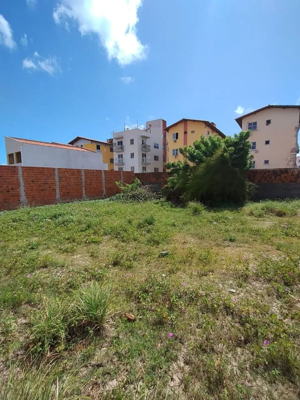 Terreno no Icaraí  - Foto 2