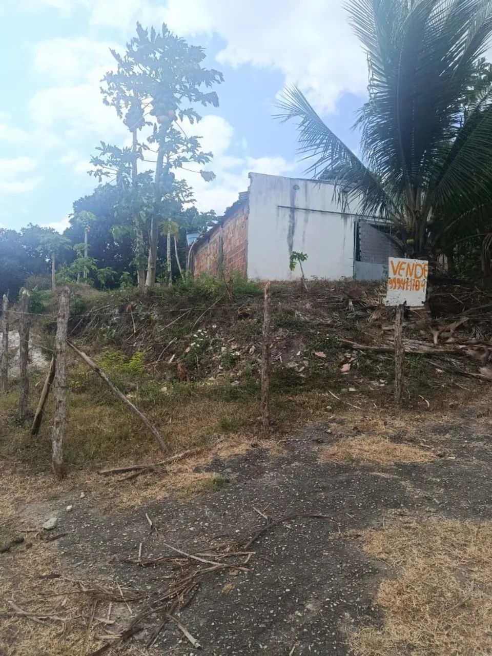 Terreno  - Foto 3