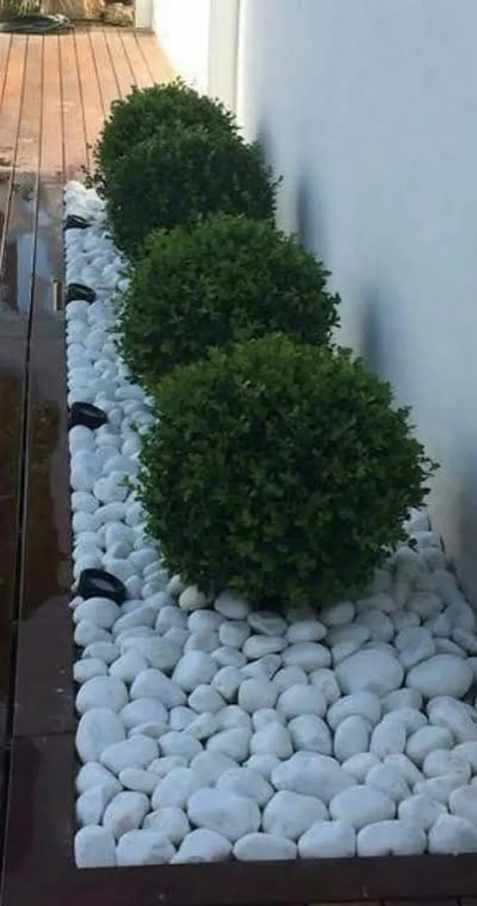Sou JARDINEIRO  - Foto 3
