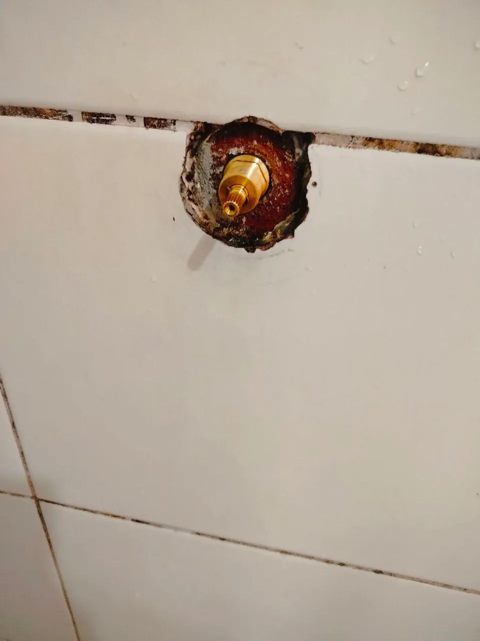Encanador bom - Foto 3