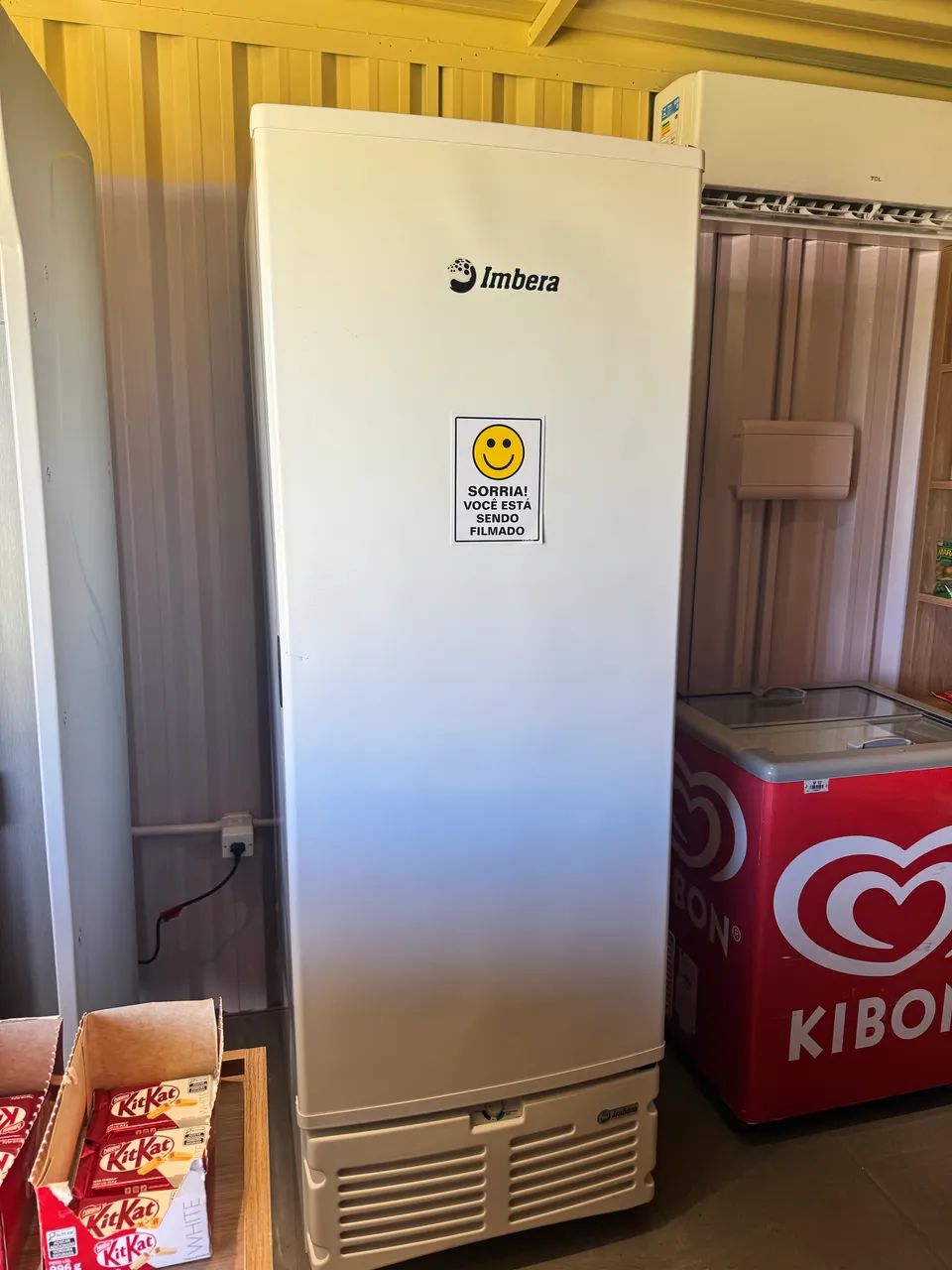 FREEZER VERTICAL IMBERA EVZ 21 BCO 560lt