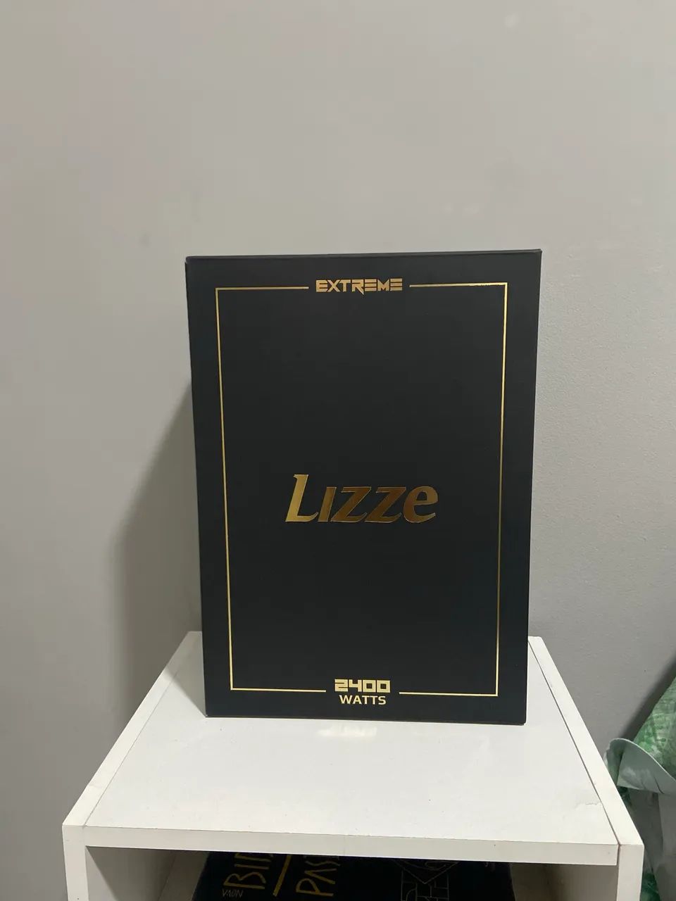 Secador de cabelo da Lizze